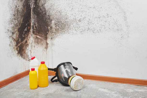 Water Damage Restoration in City View, SC