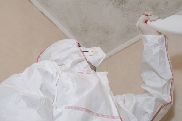 Home Mold Removal in City View, SC